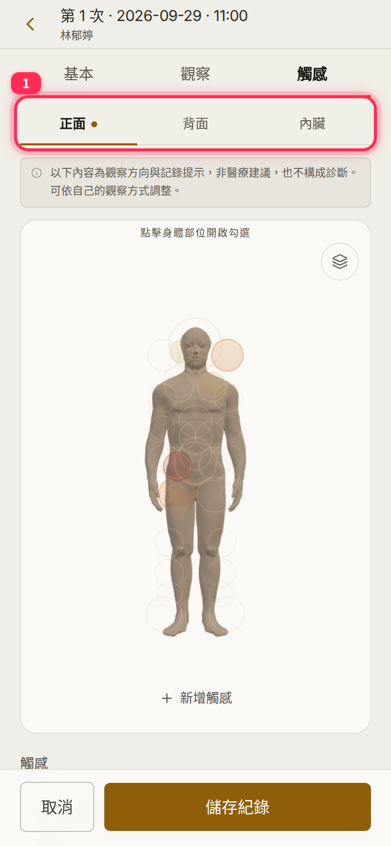 The front, back and internal-organ tabs at the top of 「觸感」 (Sensation)