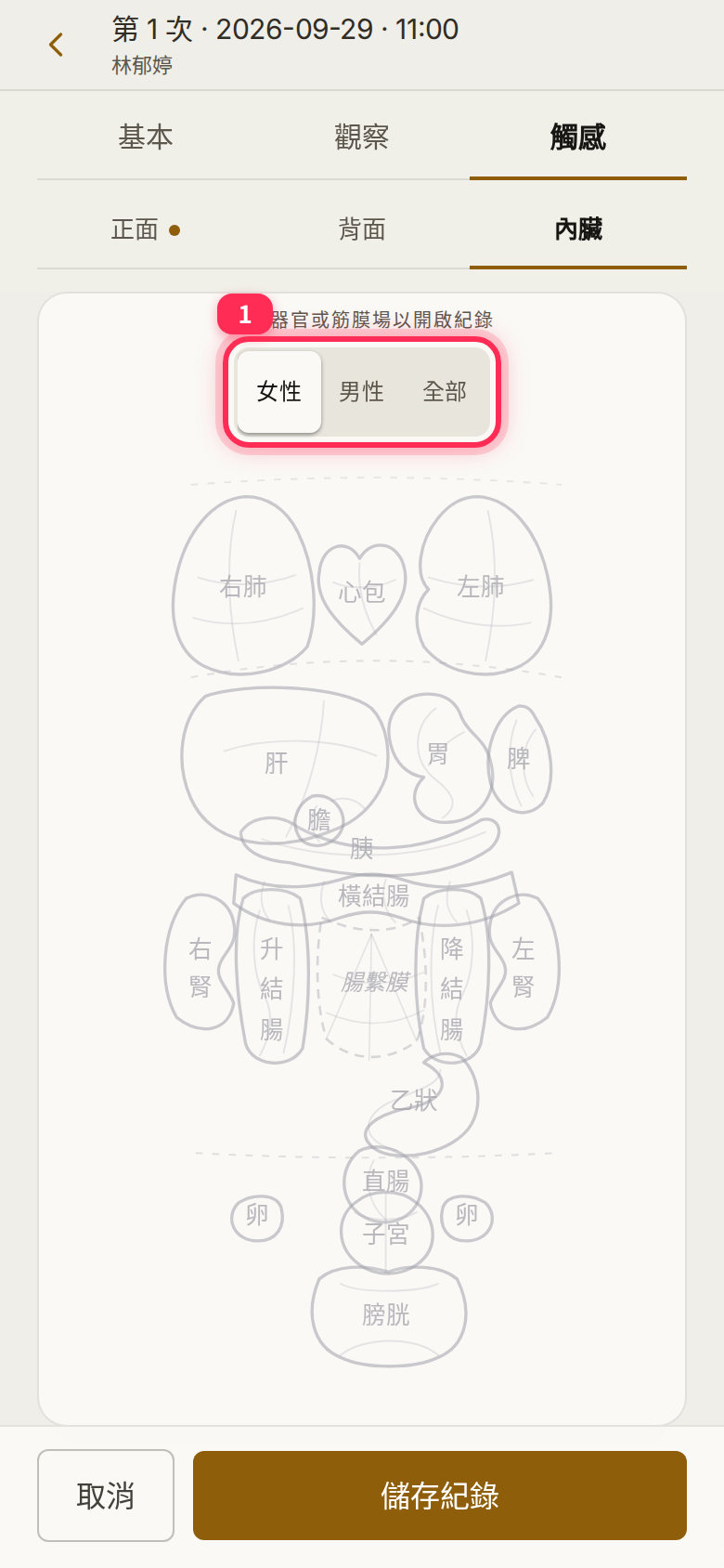 The internal-organ diagram with the 「女性」 (Female), 「男性」 (Male) and 「全部」 (All) switch
