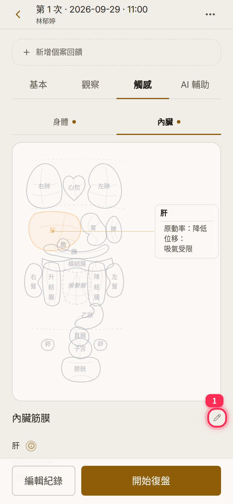 The saved record’s internal-organ tab: the liver summary and the edit pencil next to 「內臟筋膜」 (Visceral fascia)