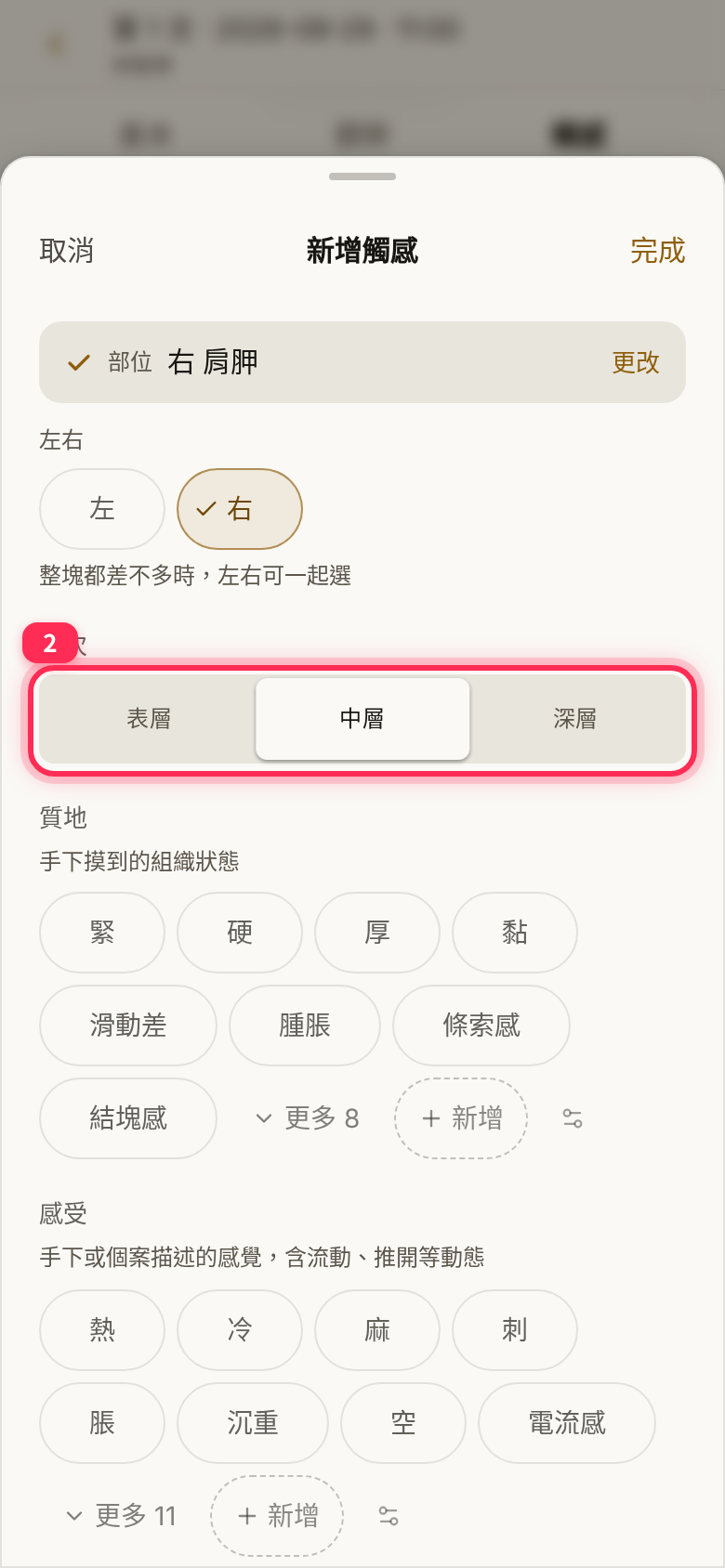 The 「新增觸感」 sheet: right 肩胛 (scapula) selected, with 「中層」 (Mid) chosen for depth